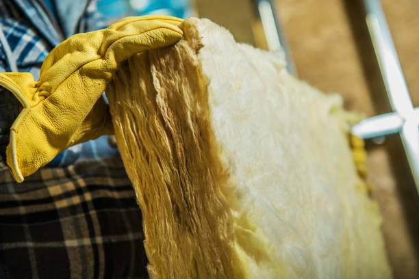 Best Insulation Inspection Services  in East Lexington, VA