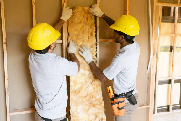 Best Insulation Replacement Services  in East Lexington, VA